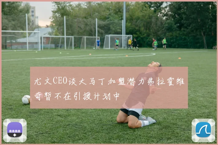 尤文CEO谈大马丁加盟潜力弗拉霍维奇暂不在引援计划中