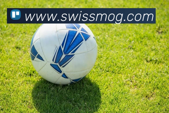球王会官网登录APP 封面图